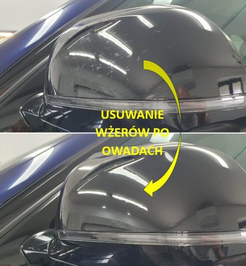 Usuwanie wżerów po owadach z lusterka w Auto Detailing BIG TOY STUDIO Kraków